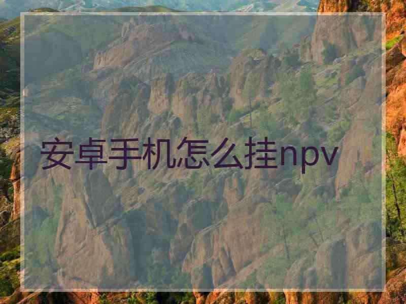 安卓手机怎么挂npv