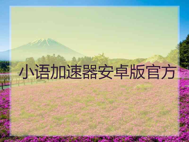 小语加速器安卓版官方