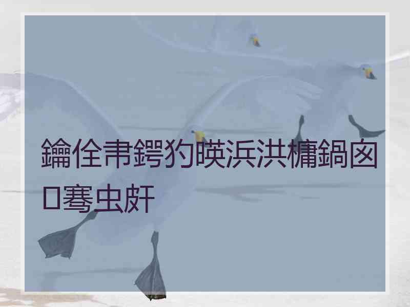 鑰佺帇鍔犳暎浜洪槦鍋囪骞虫皯