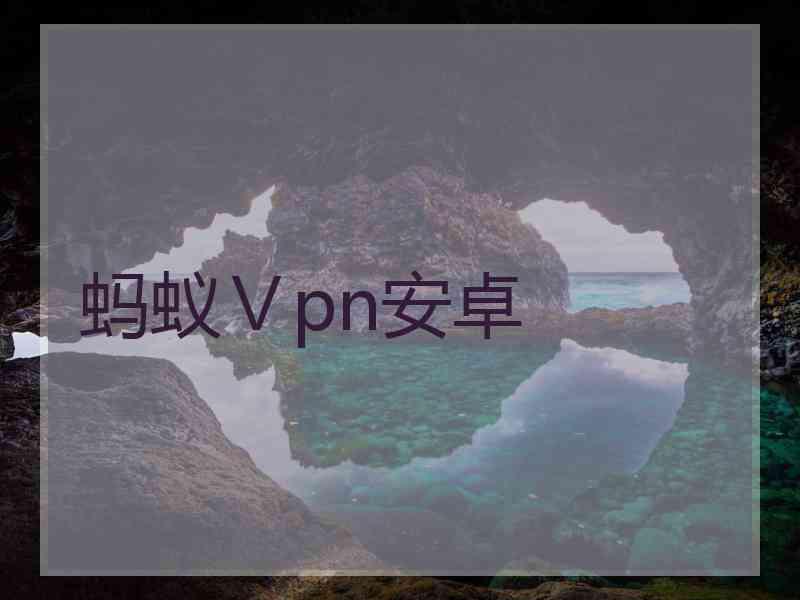 蚂蚁Ⅴpn安卓
