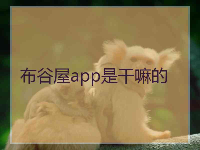 布谷屋app是干嘛的