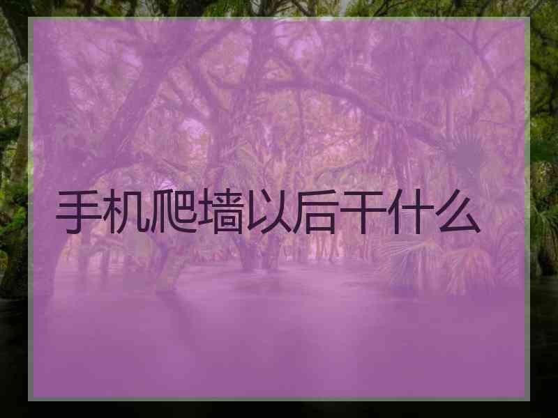 手机爬墙以后干什么