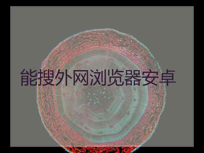 能搜外网浏览器安卓