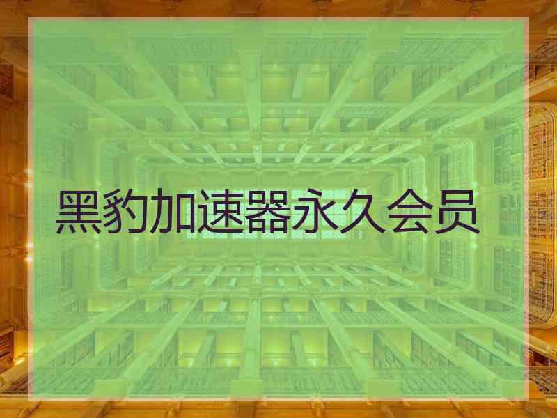 黑豹加速器永久会员