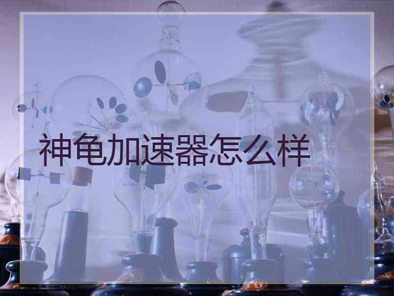 神龟加速器怎么样