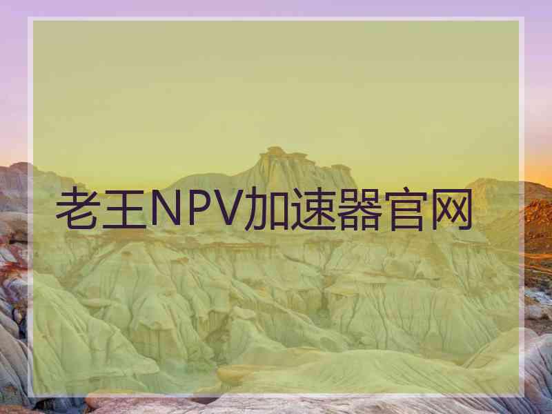 老王NPV加速器官网