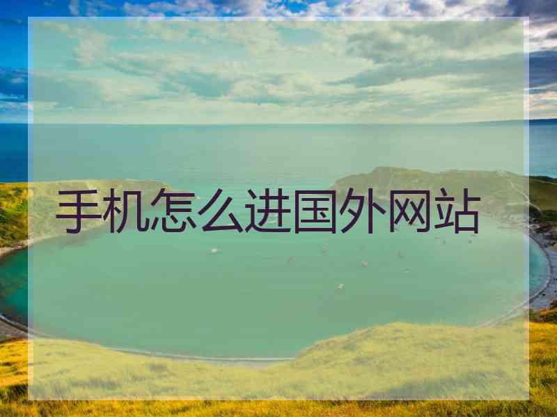 手机怎么进国外网站