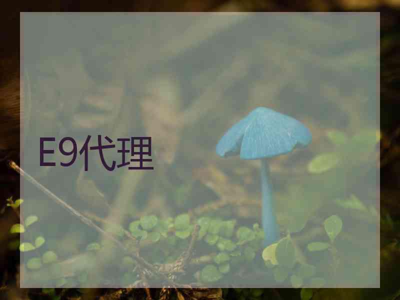 E9代理