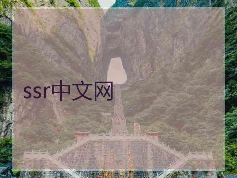 ssr中文网
