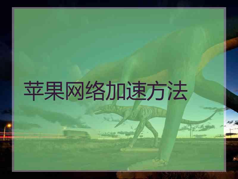 苹果网络加速方法