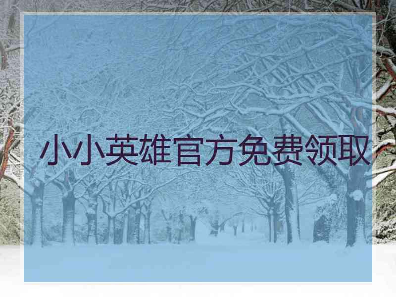 小小英雄官方免费领取
