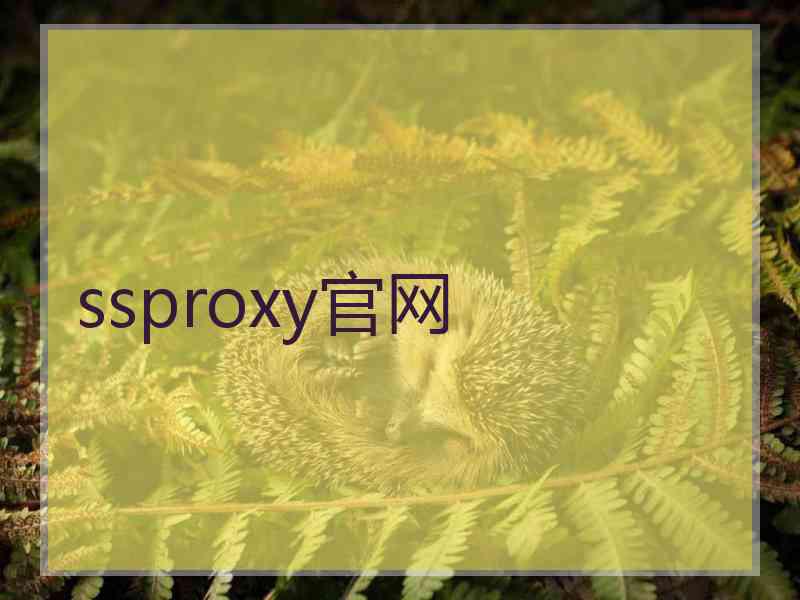ssproxy官网