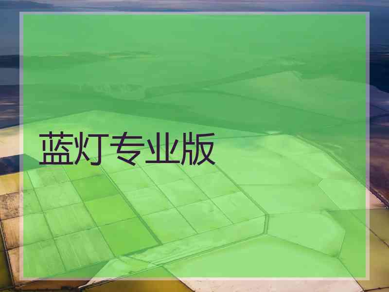 蓝灯专业版