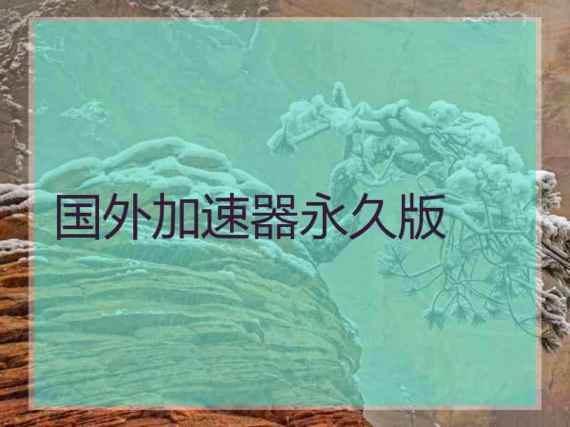 国外加速器永久版