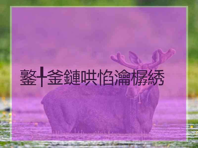 鐜╀釜鏈哄惂瀹樼綉
