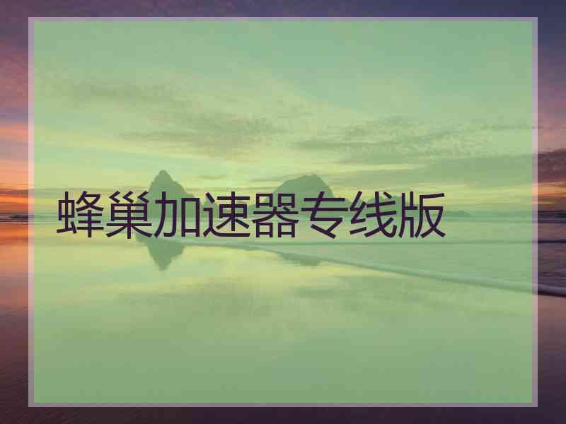 蜂巢加速器专线版