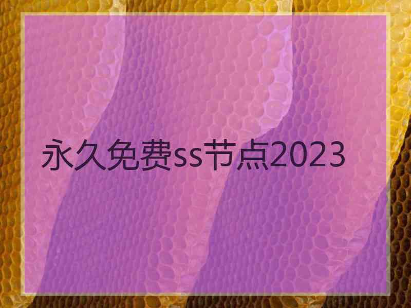 永久免费ss节点2023