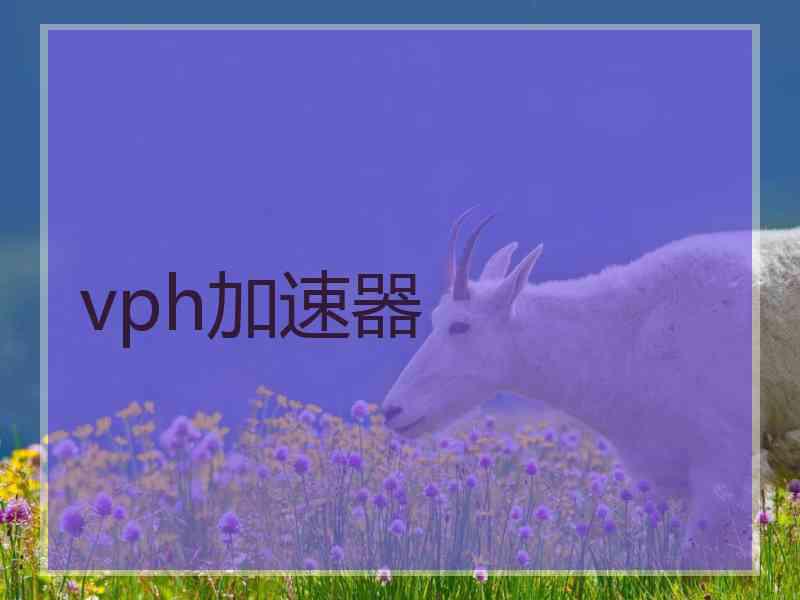 vph加速器