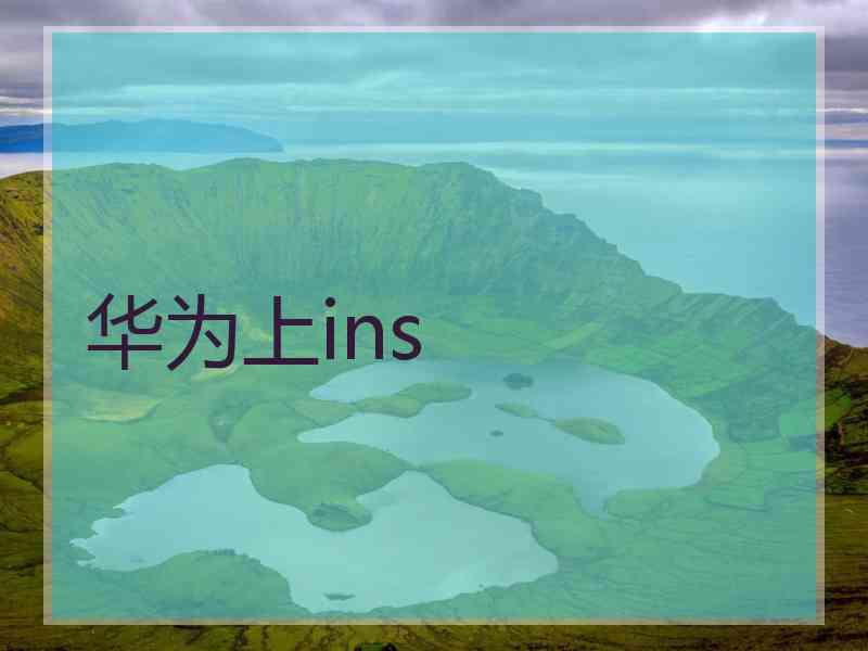 华为上ins