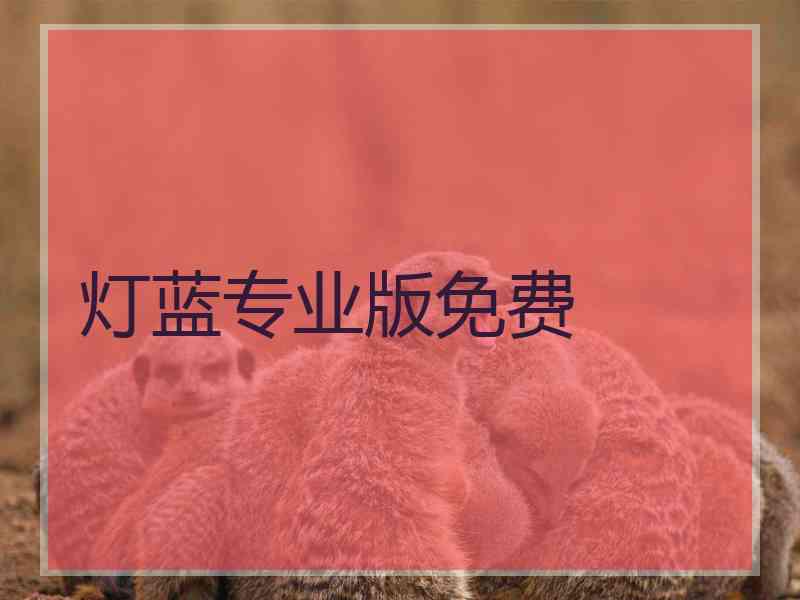 灯蓝专业版免费