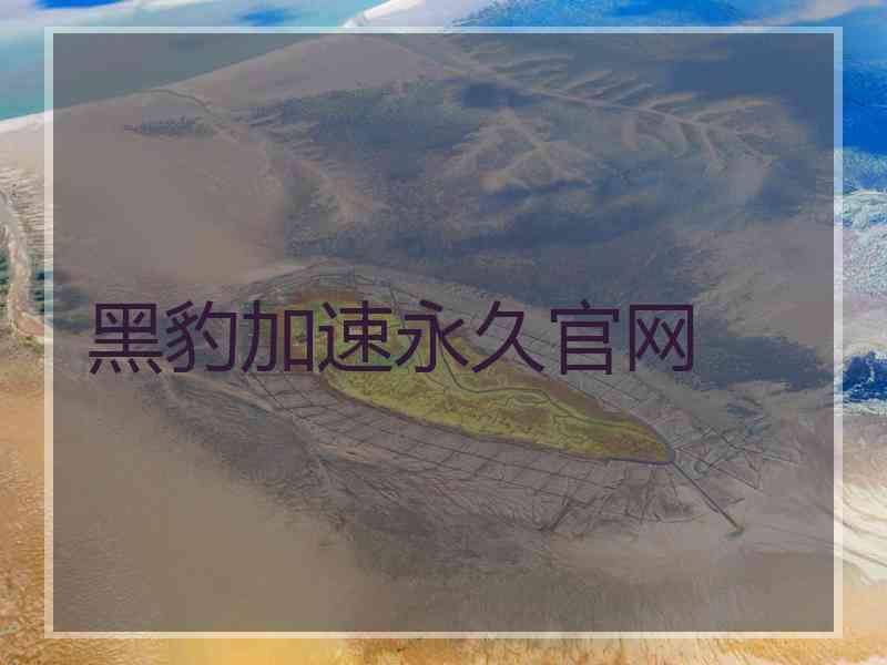 黑豹加速永久官网