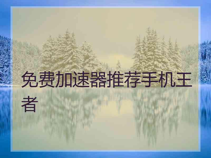 免费加速器推荐手机王者
