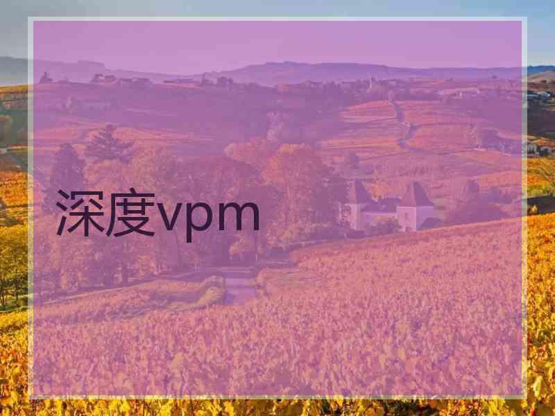 深度vpm