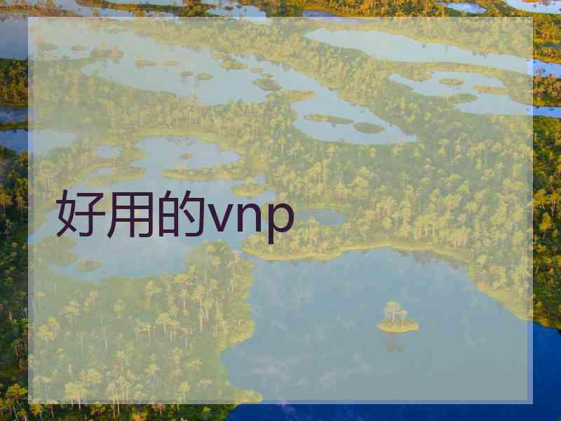 好用的vnp