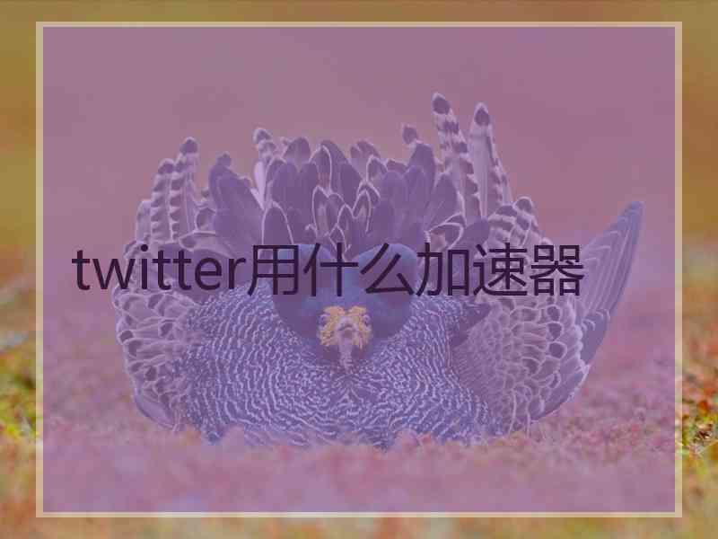 twitter用什么加速器