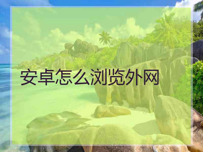 安卓怎么浏览外网