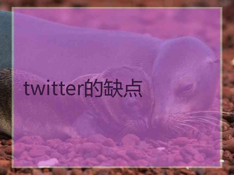 twitter的缺点