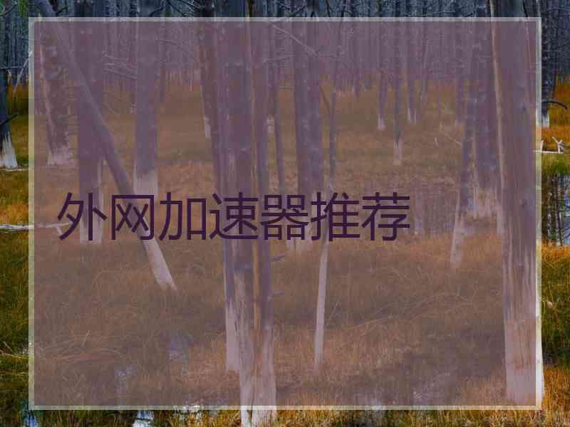 外网加速器推荐