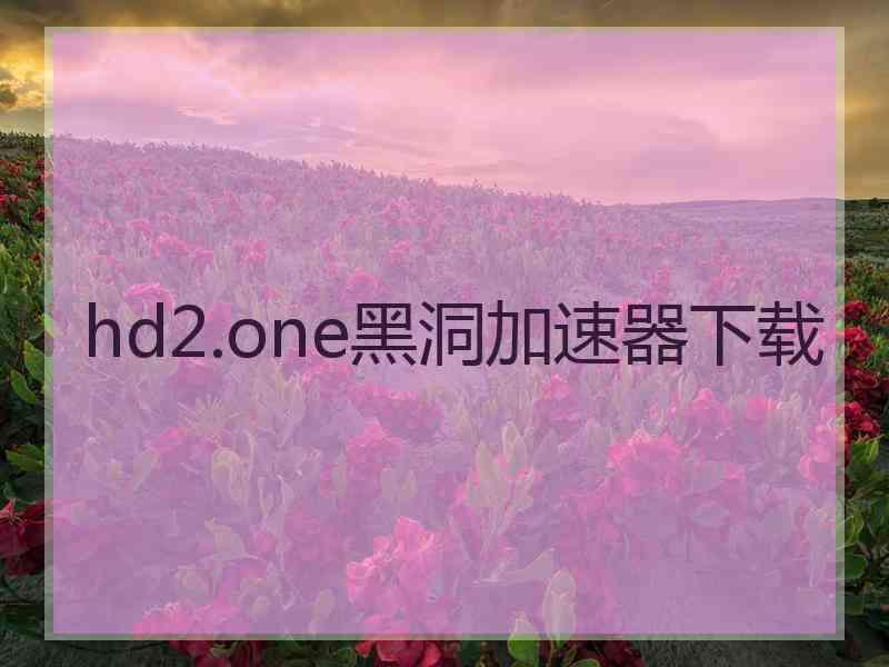 hd2.one黑洞加速器下载