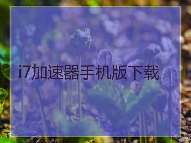 i7加速器手机版下载