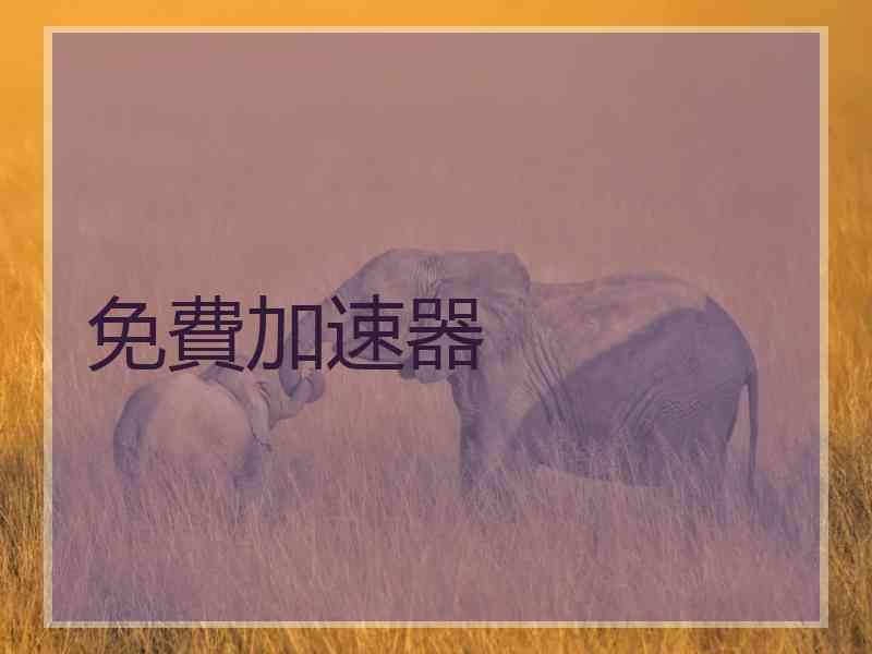 免費加速器