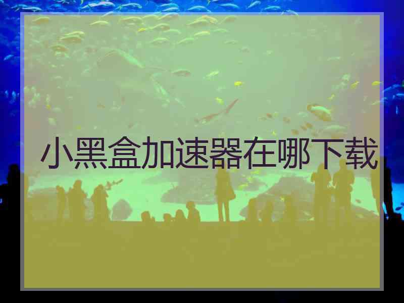 小黑盒加速器在哪下载