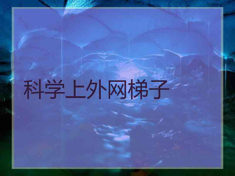 科学上外网梯子