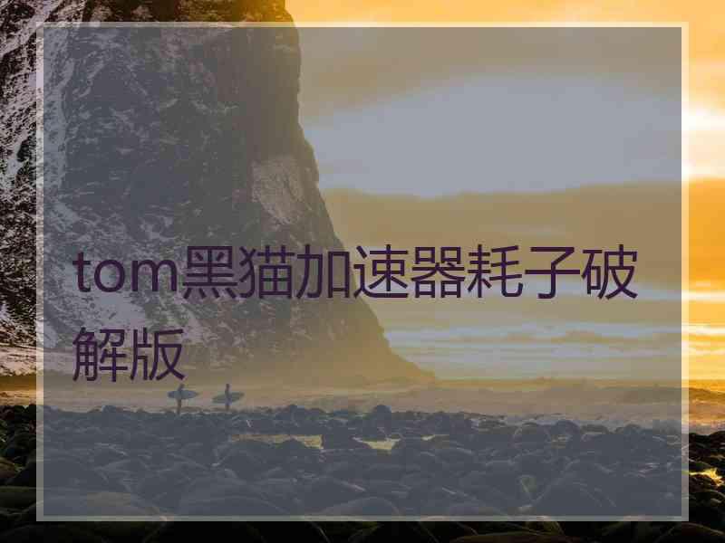 tom黑猫加速器耗子破解版