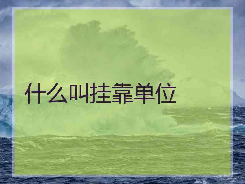 什么叫挂靠单位