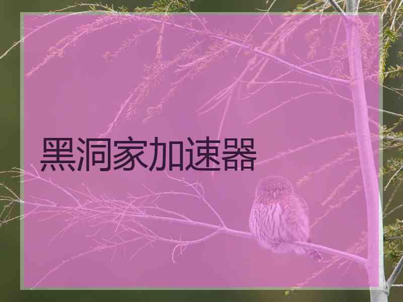 黑洞家加速器