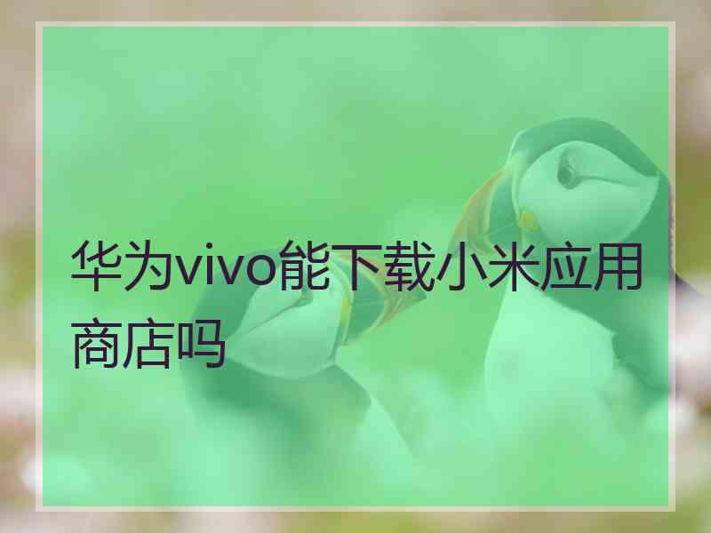 华为vivo能下载小米应用商店吗