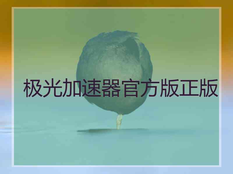 极光加速器官方版正版