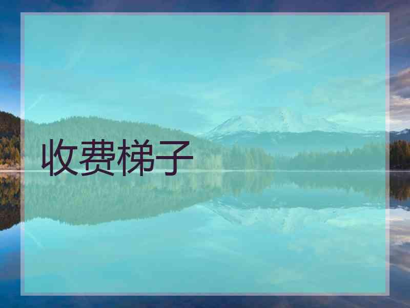 收费梯子