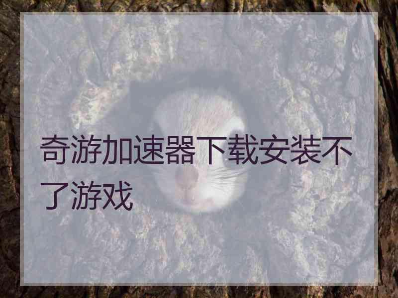 奇游加速器下载安装不了游戏