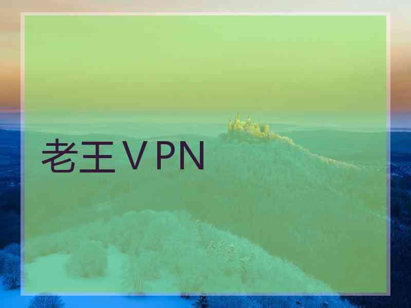 老王ⅤPN