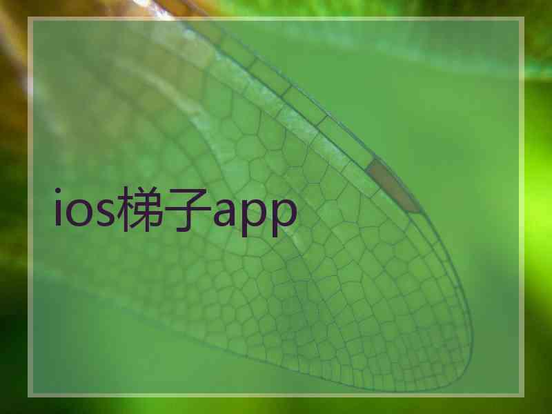 ios梯子app