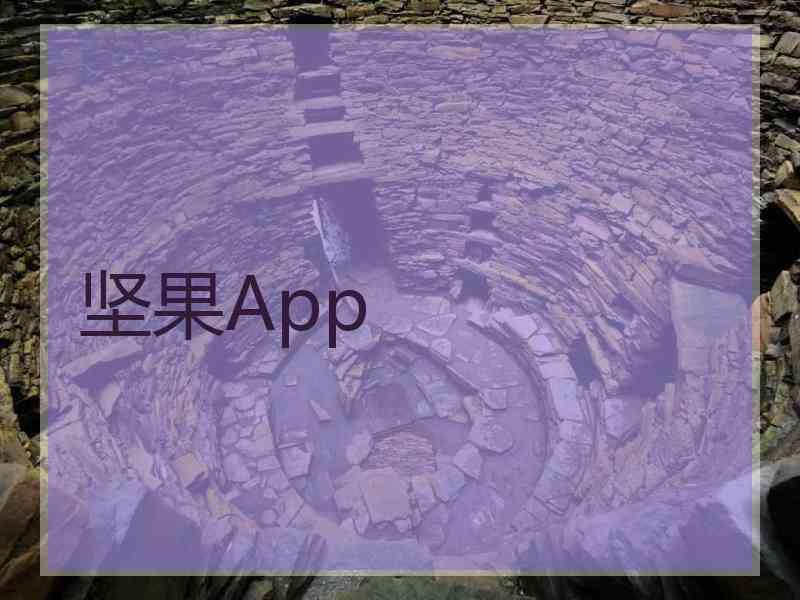 坚果App