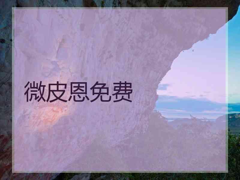 微皮恩免费
