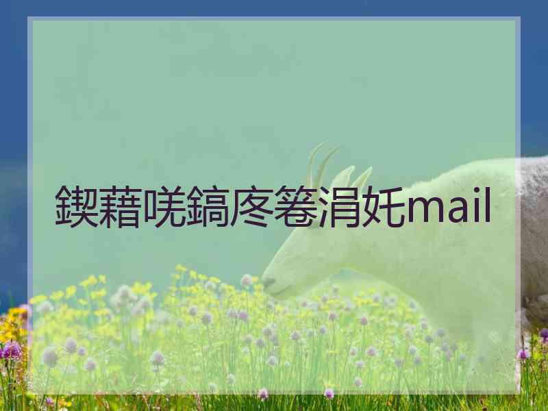 鍥藉唴鎬庝箞涓奼mail