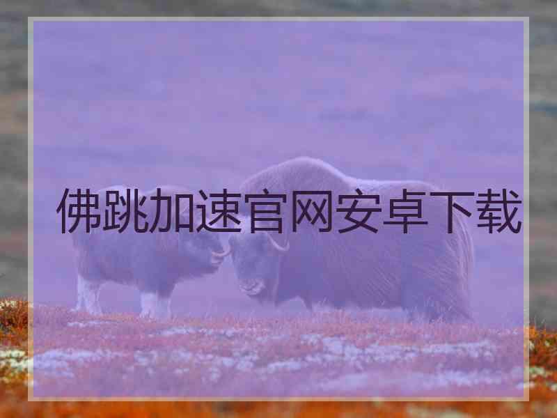 佛跳加速官网安卓下载